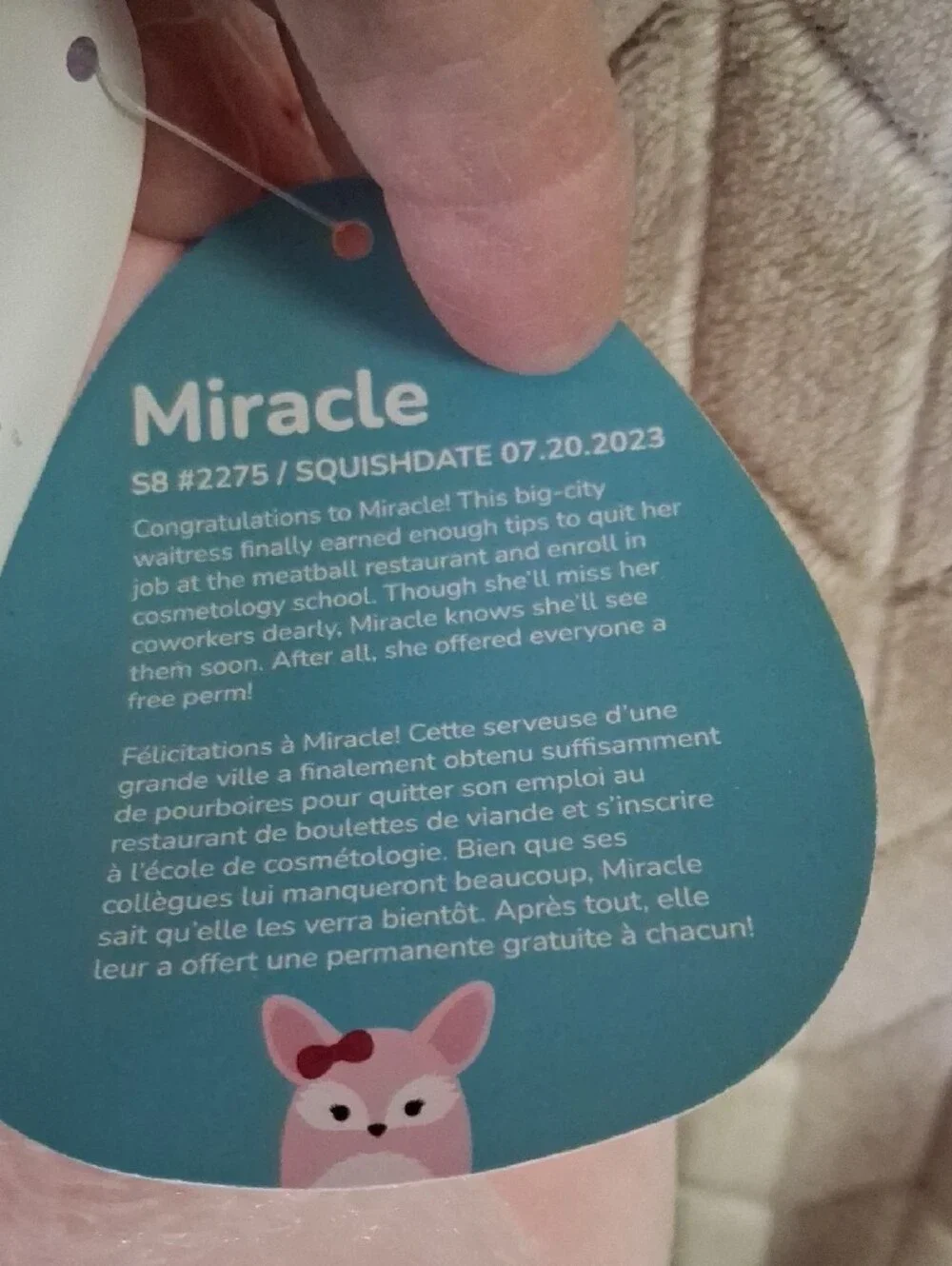 Squishmallow-This Is Miracle The Fennec Fox.